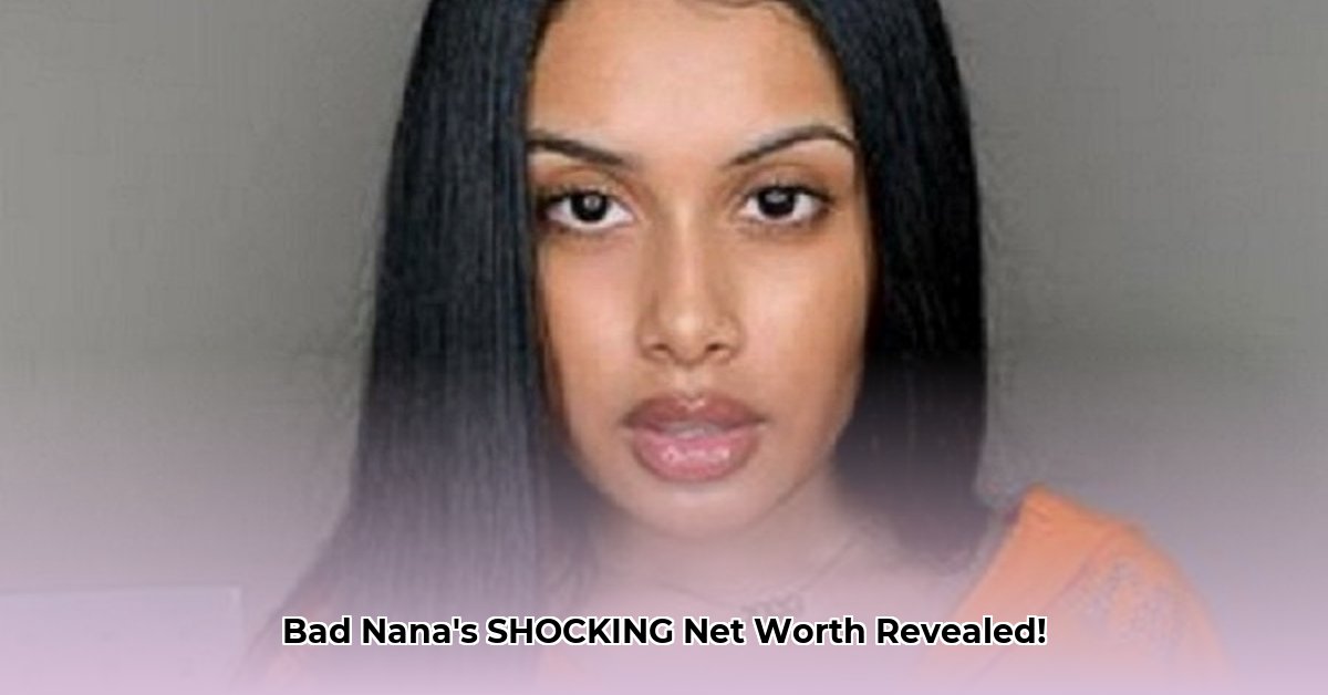 bad-nana-net-worth